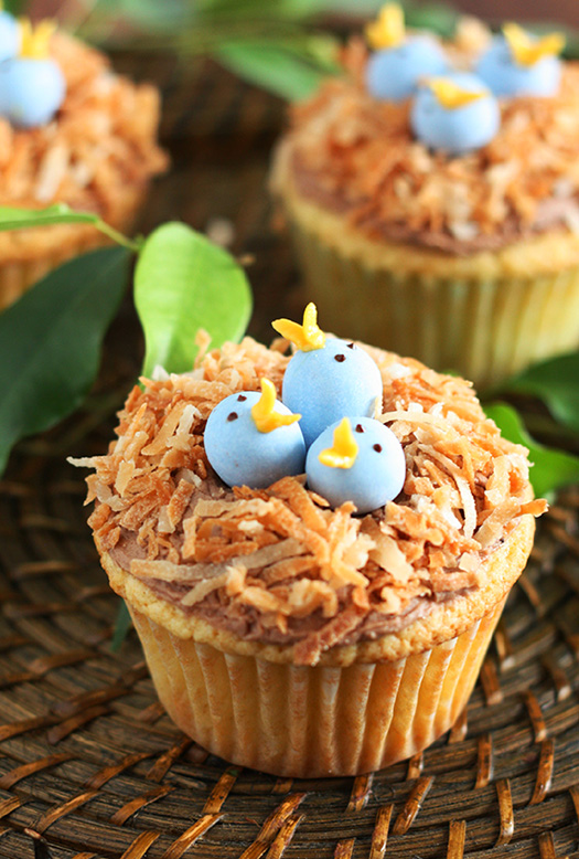 birds-nest-cupcakes-edit